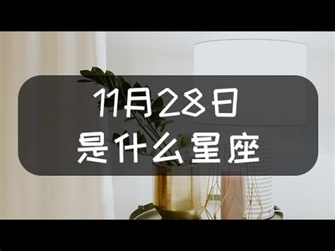 11/28星座女